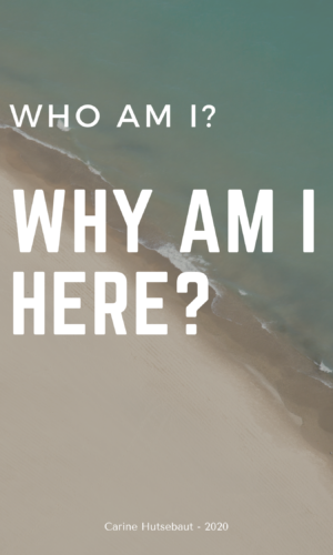 Module 005 Workbook: Who Am I And Why Am I Here?
